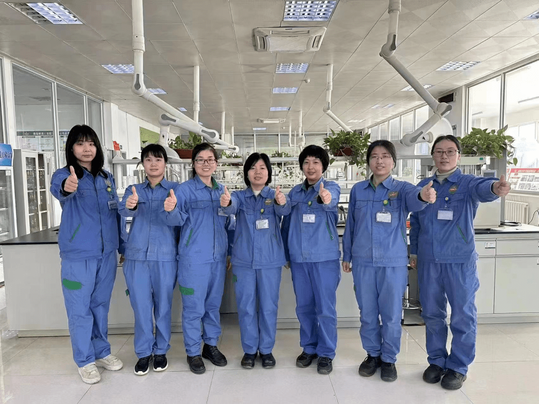 巾幗綻芳華 建功新時代丨2022年度洛陽市五一巾幗先進集體和個人優秀事跡展播(五) 法律