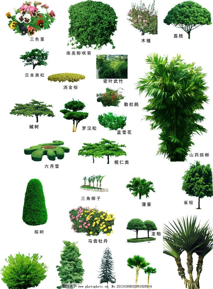 園林景觀圖片_風(fēng)景_PSD分層_